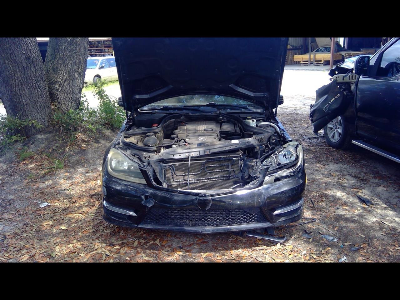 Picture 1 of 13