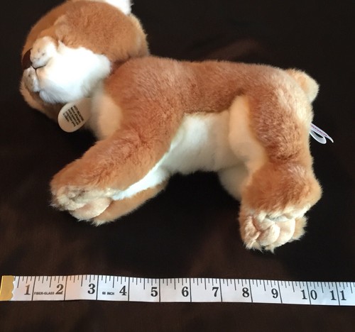 AURORA MIYONI Realistic Plush Lion Cub 10” Lifelike Stuffed Animal SANITIZED - Picture 10 of 10
