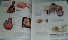 Picture 4 of 9