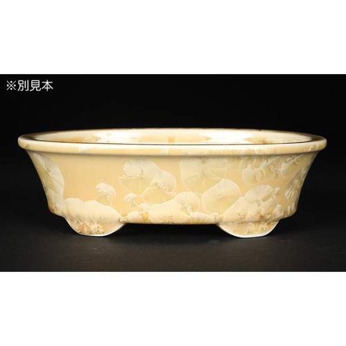 Japanese bonsai pot HEIAN SENZAN Mokko shape W18cm H5.5cm Yellow Gold Glazed - Picture 3 of 24