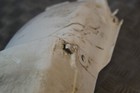 Foto 22 di 24