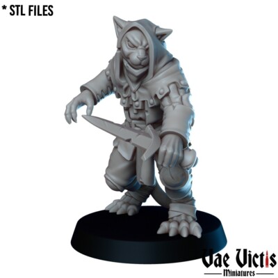 Tabaxi Bandit Cat Thief Robber  DnD D&D Pathfinder RPG