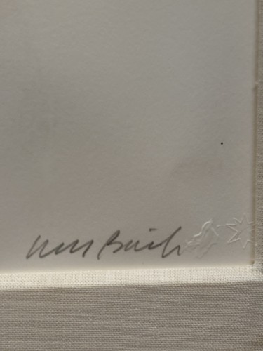 WULF BARSCH (1943-2025) Litografia firmata a mano MONTICELLO 11/50 INCORNICIATA - Foto 13 di 16