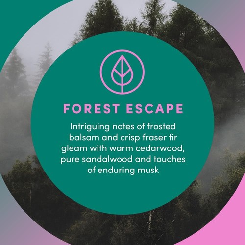 Clean Revolution schäumende Handseife | sanft, feuchtigkeitsspendend & umweltfreundlich | fertig - Bild 3 von 5