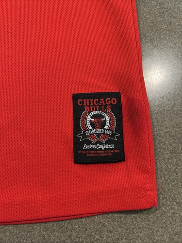 NBA Chicago Bulls Jersey Youth Large Red Embroidered Logo Used - Picture 3 of 6