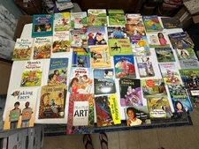 Grade 1-2 Fountas & Pinnell 41 ENGLISH Guided Reading Readers Books Homeschool