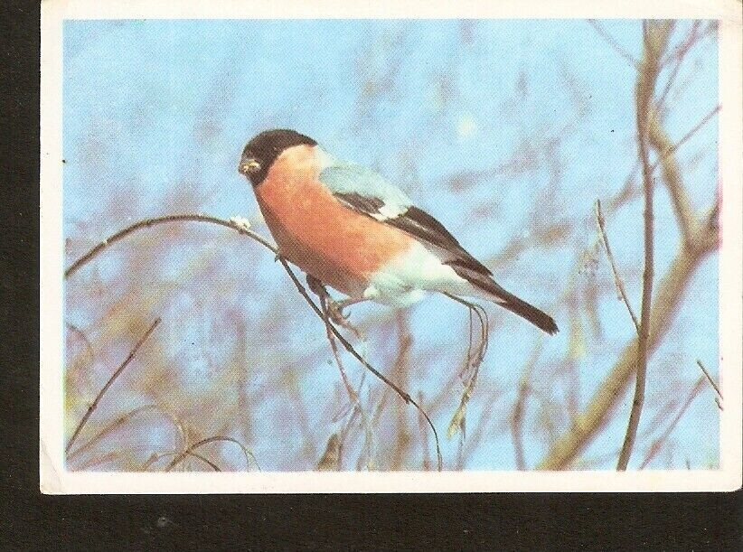 Bild 1 von 4