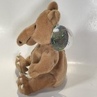 Bild 3 von 15