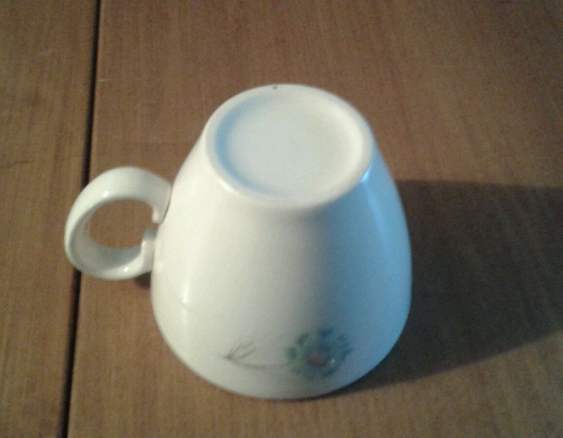 Bild 12 von 12