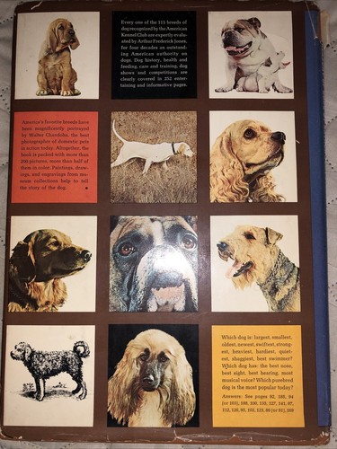 The Treasury of Dogs by Arthur Frederick Jones & John Rendel ~ Vintage 1964 - Picture 2 of 3