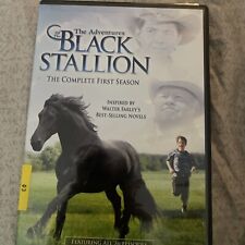The Adventures of the Black Stallion - The Complete First Season (DVD, 2006,...