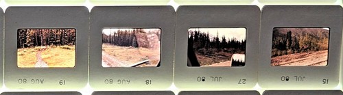 VTG 76 Slides 1980 Alaska Dall Sheep Ram, Gold Dredge, Santas House North Pole - Picture 7 of 12