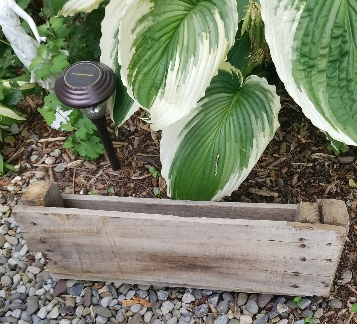 Picture 8 of 24