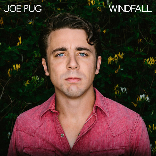 Joe Pug : Windfall VINYL 12" Album (2015) ***NEW*** FREE Shipping, Save £s - Picture 1 of 1