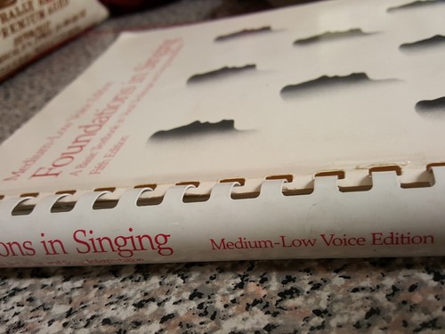 Foundations in Singing, Van A Christy/John Glenn Patton Medium Low Ed 1990 WCB - Picture 3 of 9