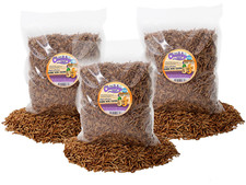 6lb Chubby Mealworm  Black Soldier Fly Larvae Mix Chicken, Duck  Bird Treat