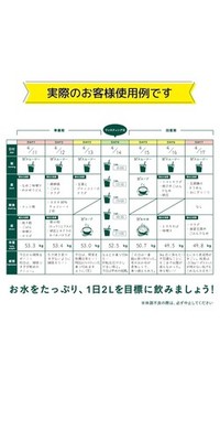 T9　GREEN BROTHERS 1DAY CLEANSE SET×2 GREEN BROTHERS GB1DAY CLEANSE SET One Day Cleanse Set 1 week