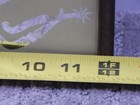 Bild 11 von 11