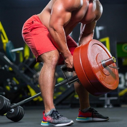 V Bar Attachment T Bar Row Landmine Handle Portable Landmine Attachment New - Picture 2 of 6