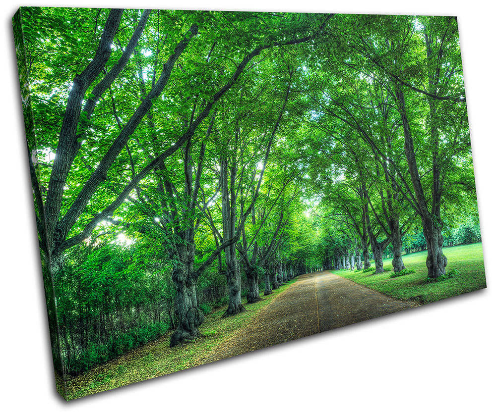 Oru Park Road Landscapes SINGLE LONA pared arte Foto impresion Oru Park Road Landscapes SINGLE arte LONA pared arte SINGLE Foto impresion 1660b5