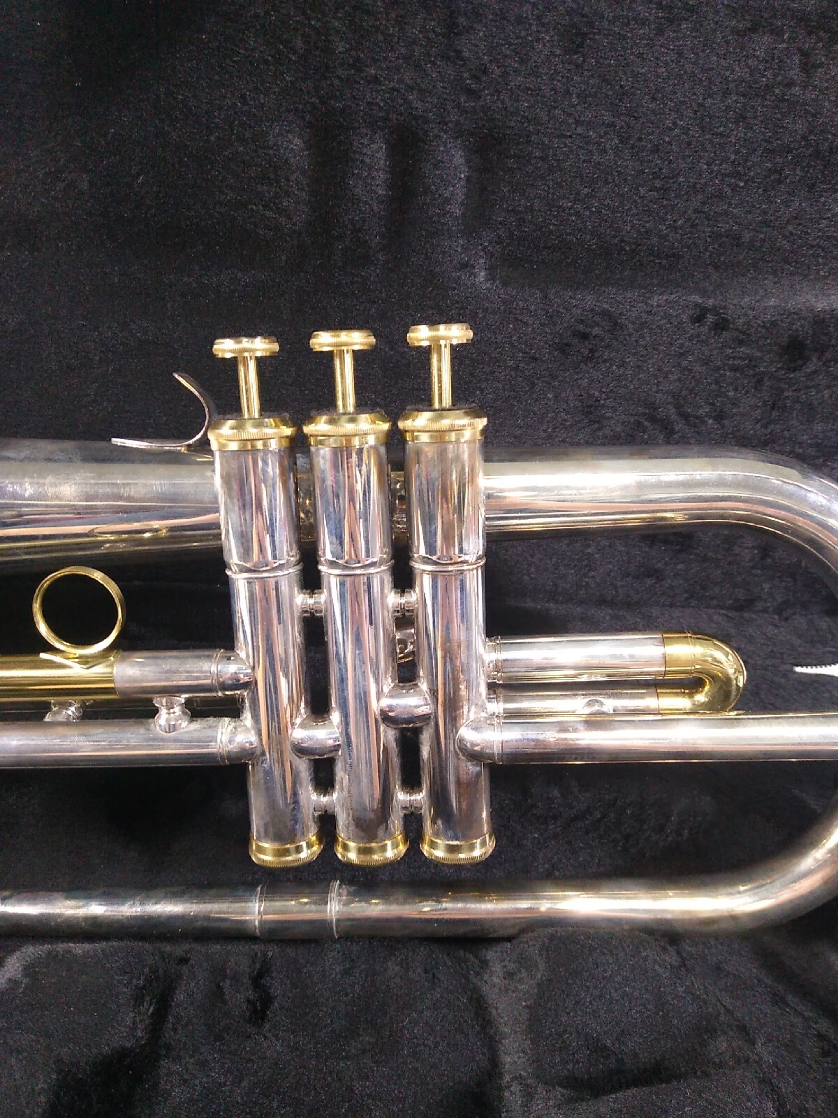 Berkeley Professional Bb Flugelhorn eBay