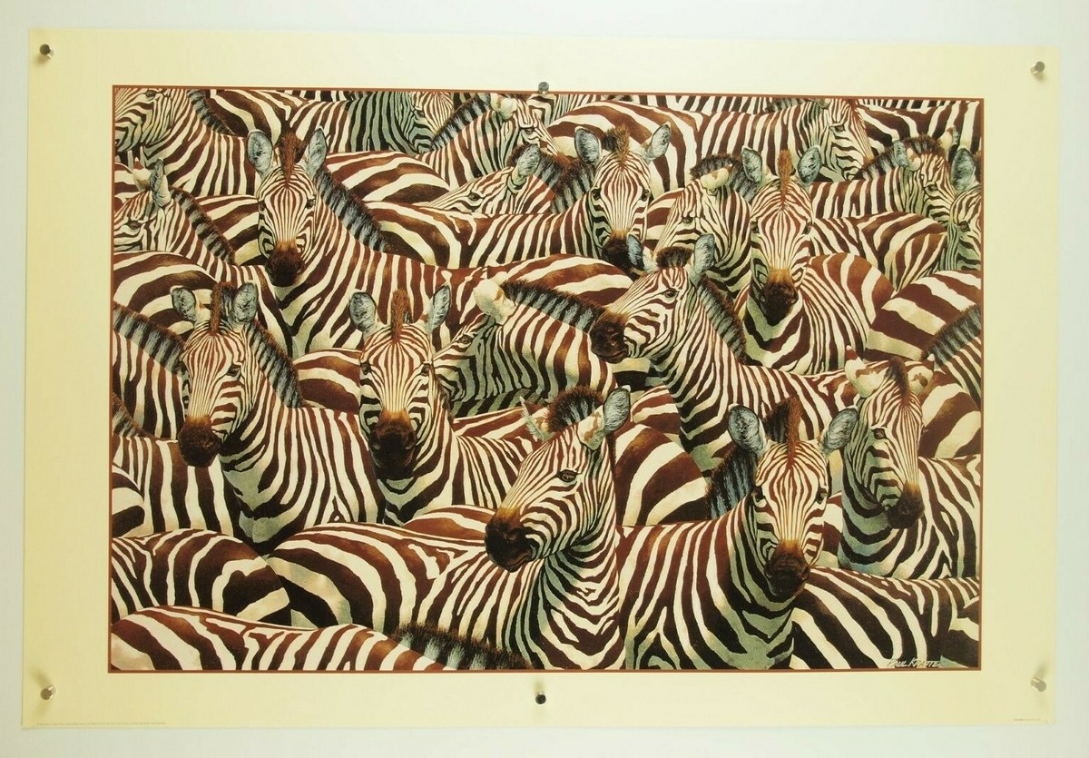 Zebra love' Poster, picture, metal print, paint by XandYart