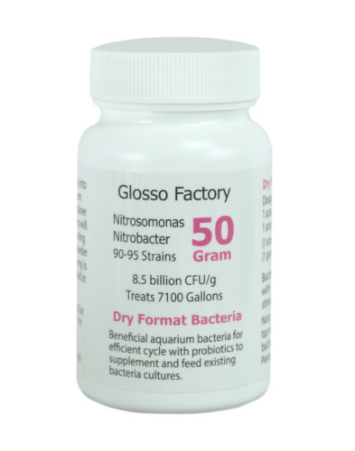 Glosso Factory dry format beneficial aquarium bacteria Nitrosomonas Nitrobacter