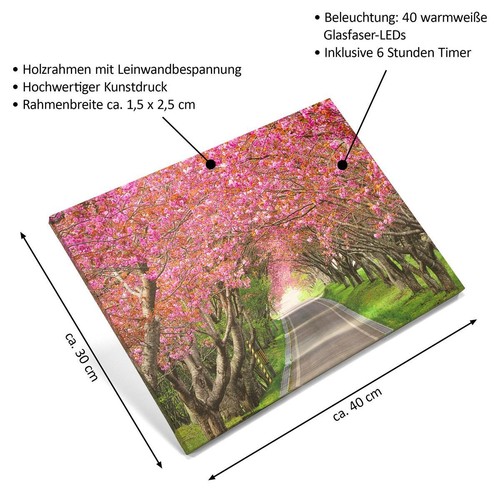 Wandbild mit LED Kunstdruck mit Beleuchtung Allee 30x40 cm Batterie mit Timer - Bild 7 von 7