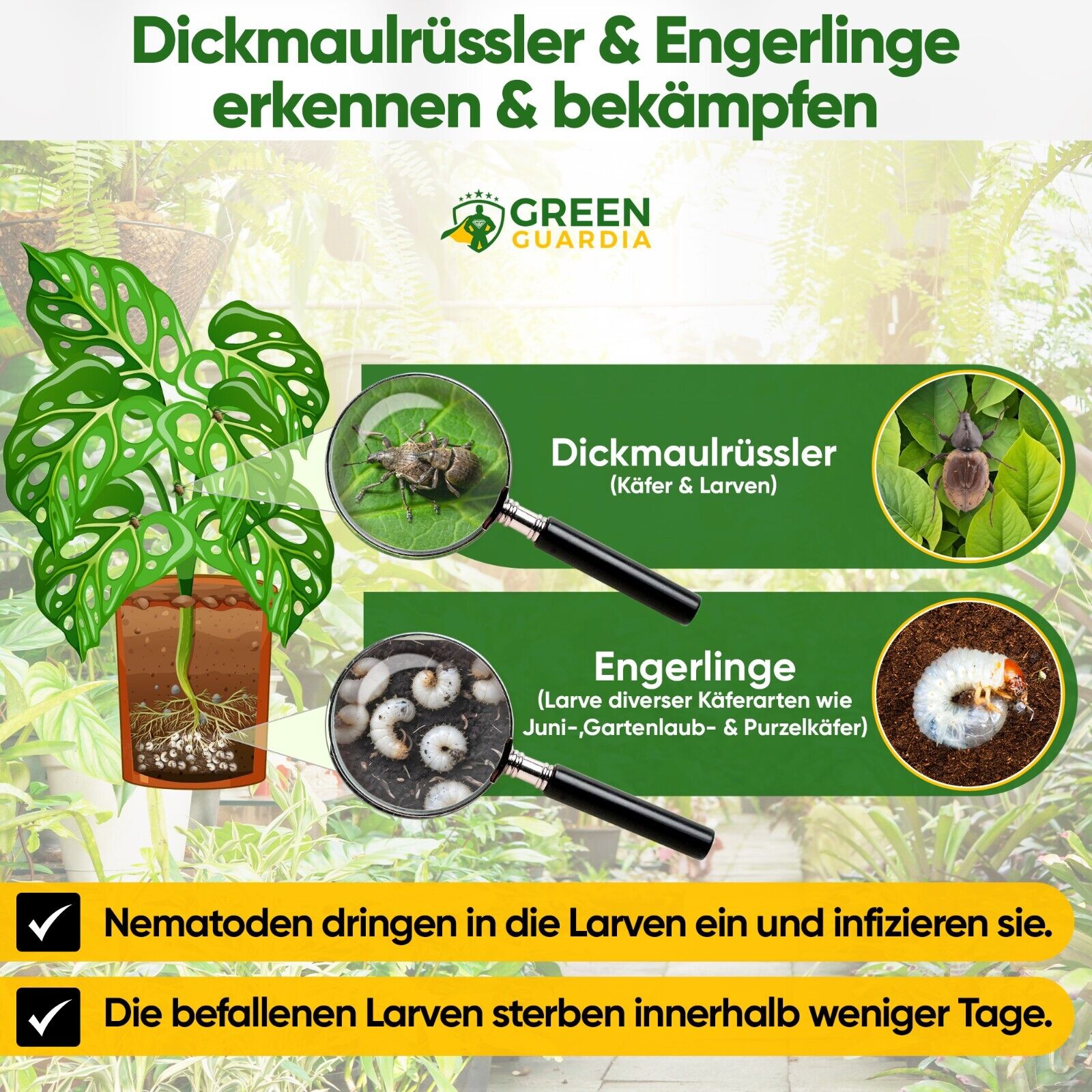 Bild 24 von 64