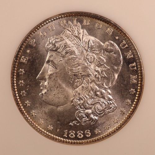 1886-P Morgan Silver Dollar - NGC MS64 PL - Stunning Proof-Like! PQ NGC Fatty! - Picture 5 of 9