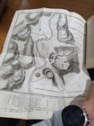 Bild 19 von 21
