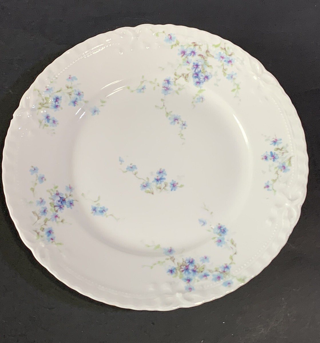 HAVILAND LIMOGES プレート 26㎝ 1枚 Rare Antique HAVILAND 