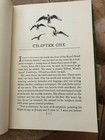 Picture 4 of 6