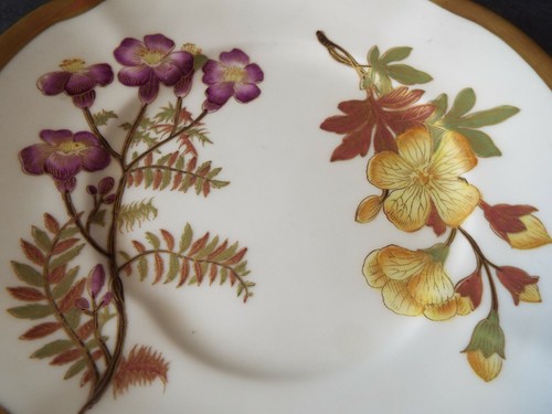 ROYAL WORCESTER BLUSH IVORY BOTANICAL FLORAL 7 5/8" SALAD OR DESSERT PLATE - Picture 2 of 3