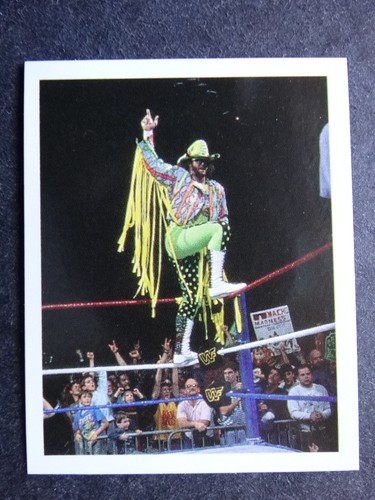 Carte adesive Merlin WWF WWE Wrestling 1992 completa il tuo set lista scegli 1-149 - Foto 196 di 208