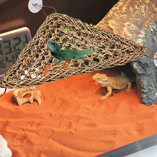 Reptile Lizard Lounger Bearded Dragon Hammock,100% Natural Seaweed Hammock - Picture 6 of 14