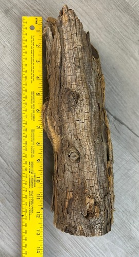 Ironwood Raw Lumber With Bark DIY Woodworking 3 LB 7 OZ Round (13X3”) - Picture 15 of 18