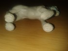 Bild 7 von 7