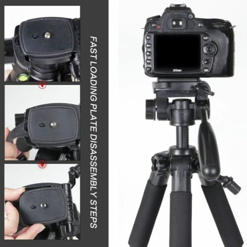 ZOMEI Mini treppiede professionale in alluminio e testa panoramica portatile per fotocamera video live - Foto 3 di 16