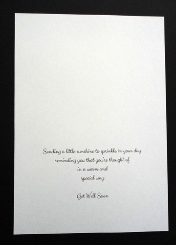 Card Inserts -Assorted "Get Well" Greetings-7" x 5" Cards (Landscape) Pkt 20 - Picture 4 of 5
