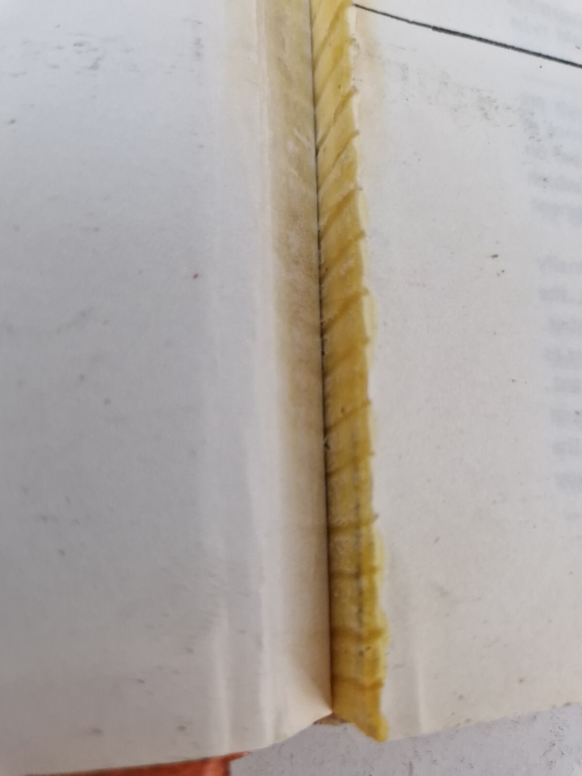Picture 6 of 22