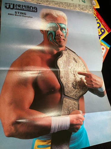 Revista ilustrada PWI Pro Wrestling WWF WCW - Dic 1990 - Von Erich Sting - Imagen 2 de 3
