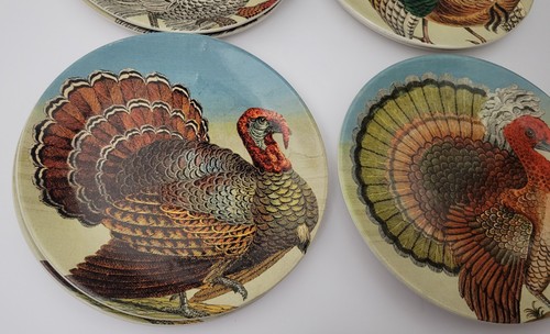 Platos de pavo John Derian, juego de 4 colores vibrantes Target FM42 Acción de Gracias - Imagen 2 de 8