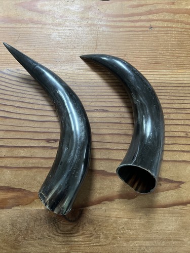 western decor cowboy Drinking Vessel Water Buffalo Horns - Picture 3 of 7
