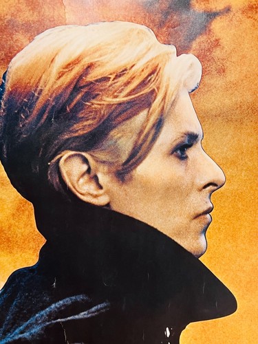 1976 The Man Who Fell To Earth David Bowie Nicolas Roeg US Subway size NYC RARE - Bild 4 von 22