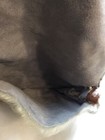 Bild 7 von 12