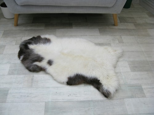 SHEEPSKIN RUG GENUINE BRITISH JACOB SOFT DENSE FUR LAMBSKIN CHAIR COVER BED J357 - Picture 4 of 11