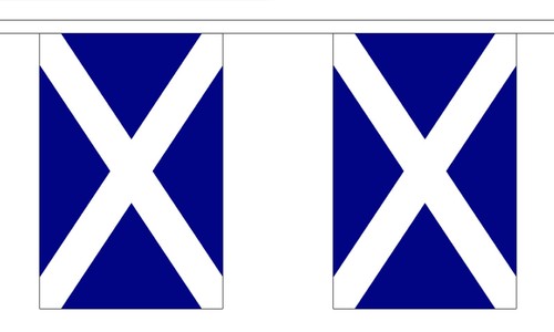 SCOTLAND FLAG BUNTING 9 metres 30 flags ST ANDREW SCOTS - Picture 1 of 2
