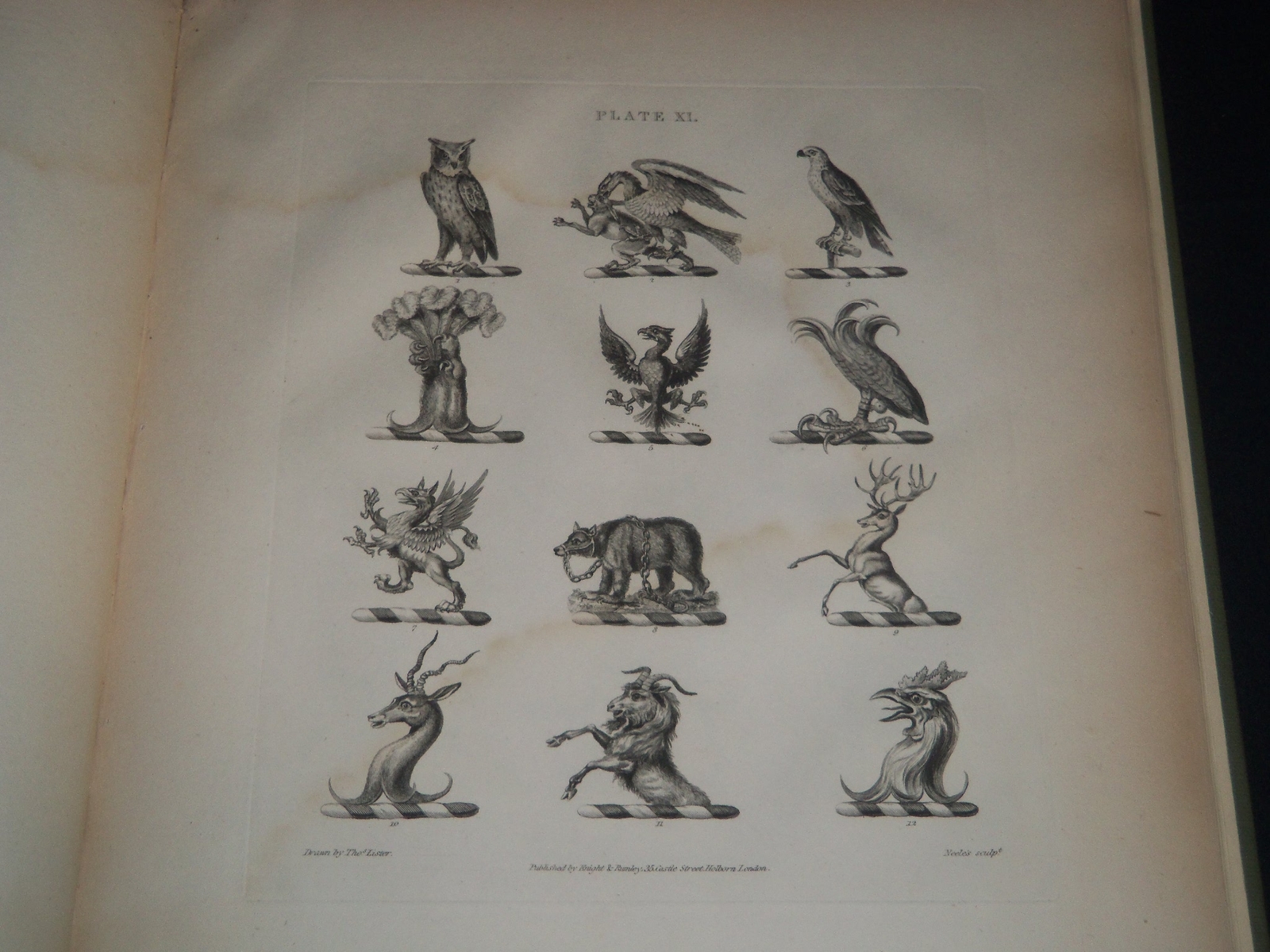 Picture 5 of 7