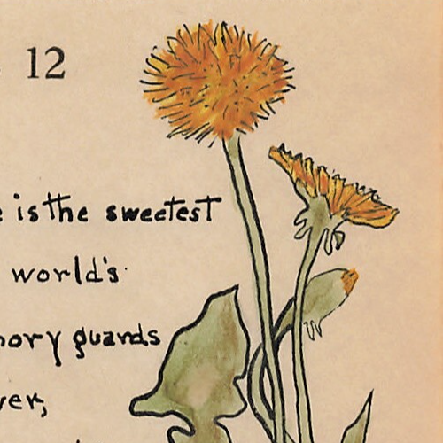 Janet Robinson Kalenderblatt Pusteblumen & Freundschaftsvers Aquarell 1926 - Bild 2 von 4